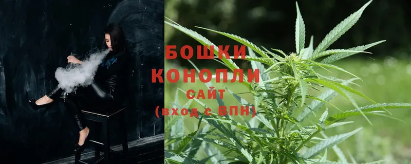 Канабис OG Kush  Адыгейск 